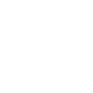 Provided Services